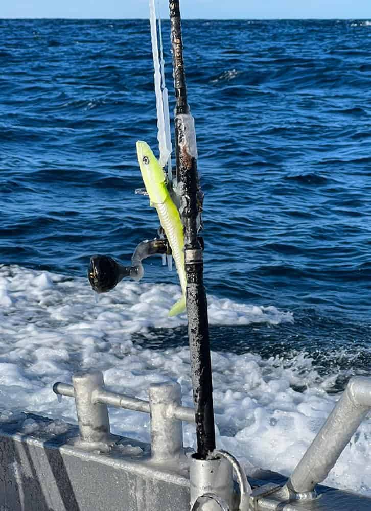 Morgen is er iets meer wind, dus kunnen we helaas weer niet ver.