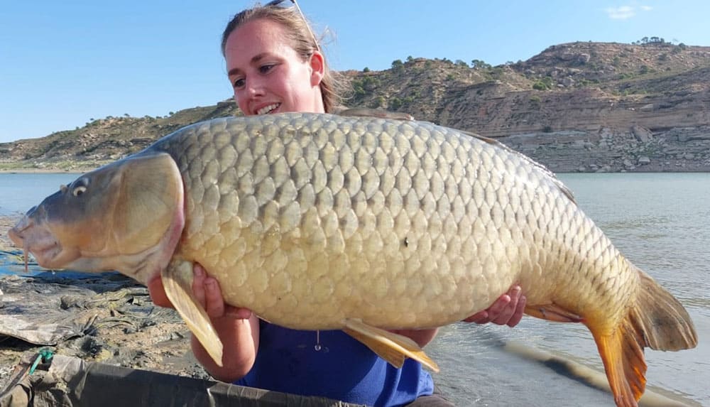 Ook in de warme maanden van het jaar zijn de meeste vissoorten goed te vangen op het zoete en zoute water in Spanje.