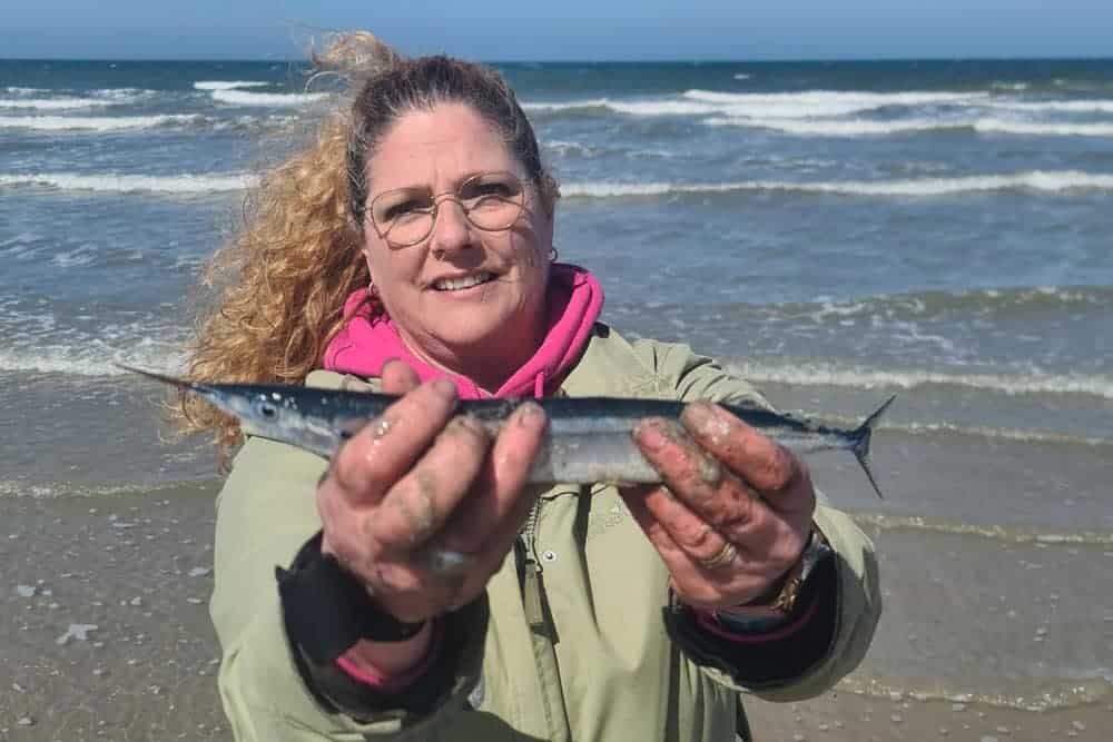 John Willems: “Voor zover ik weet is het een pelagisch zwemmende vis met een groot leefgebied, in de open Atlantische Oceaan, ten noorden van de evenaar, maar niet in de Noordzee. Zodoende nooit gevangen in Nederland. Dat blijft echter (helaas) nog zo…”