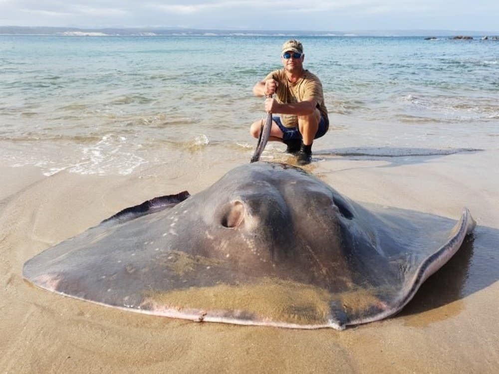 Zes dagen strandvissen, alle uitrusting en aas.