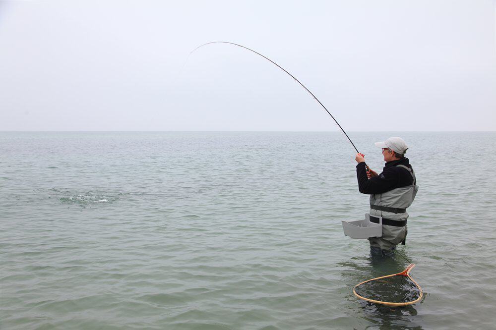 En dan hebben we het nog niet over de visserij op zeeforel, zalm en zoutwater!