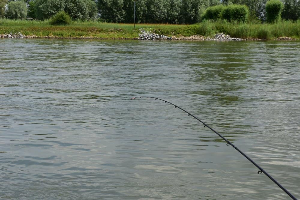 De feedertop wordt op de stroming krom getrokken.