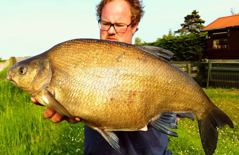 66,5 cm en 4,2 kg… dat begin erop te lijken!