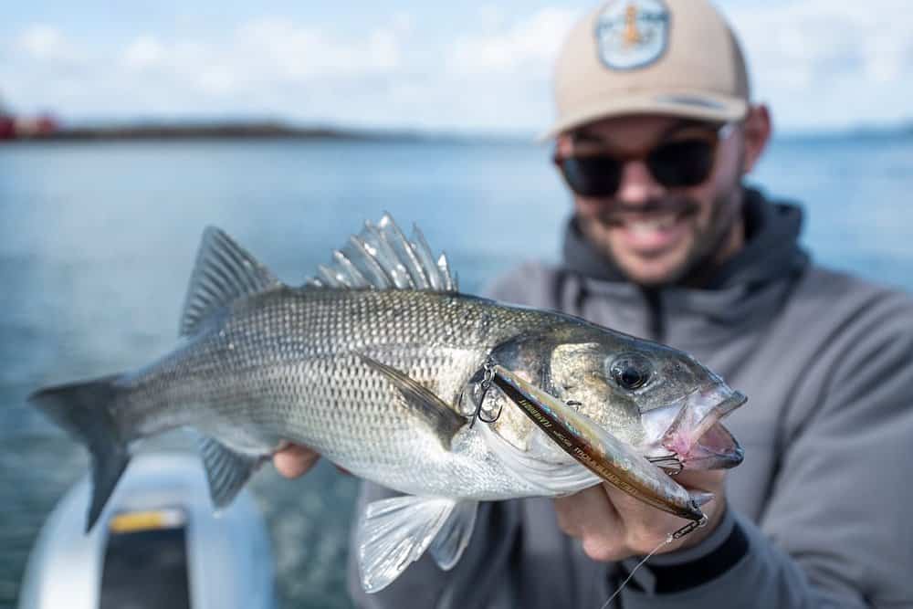 Deze zeebaars kon de Bantam World Minnow niet weerstaan.