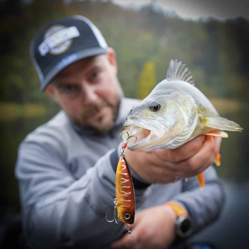 Een bewezen vanger op baars, roofblei, snoek, winde en zelfs meerval!