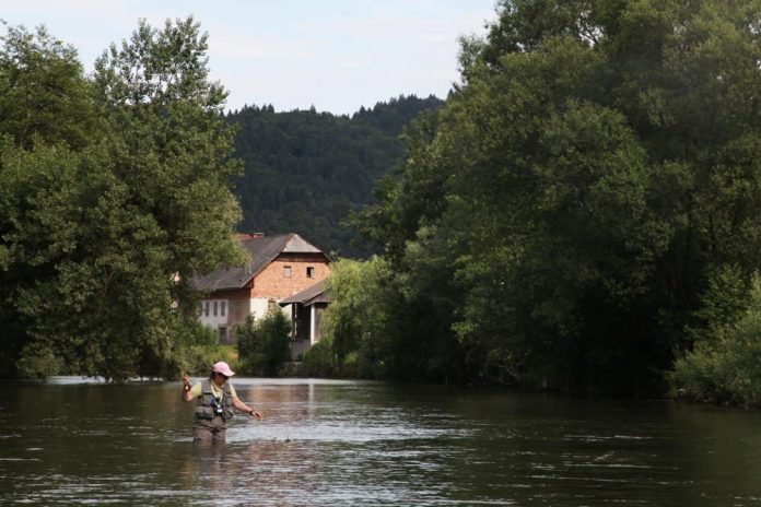 Slovenië is het enige land ter wereld dat liefde (love) in zijn naam heeft staan, vrijwel zeker gaat het daarbij om de liefde voor het (vlieg)vissen, de natuur, lekker eten en drinken, aldus de Fish & Travel website.