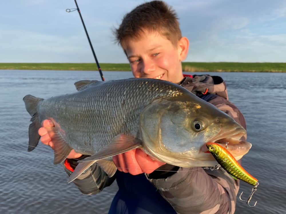 Het gaat om de VIB Lures. Ik zie dat ze het her en der een ‘lipless crankbait’ noemen, het is een ratelplug maar dan zonder echte ratel.