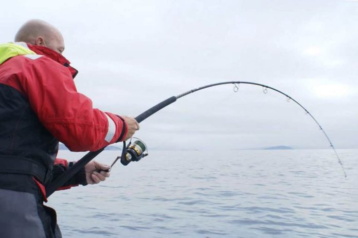 De Arctic groepsreis naar Hammerfest / Soroya heeft nog maar twee plaatsen beschikbaar.