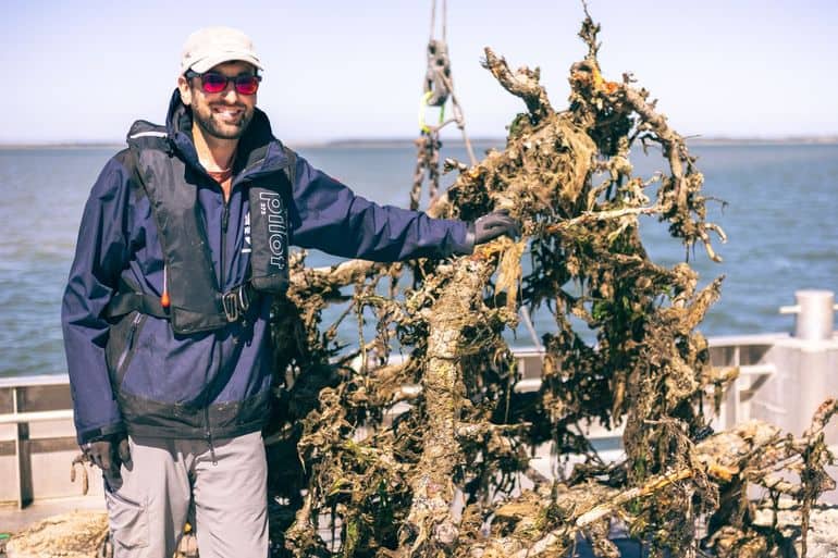 Jon Dickson met perenboomrif na zestien maanden in de Waddenzee (Bron: NIOZ)