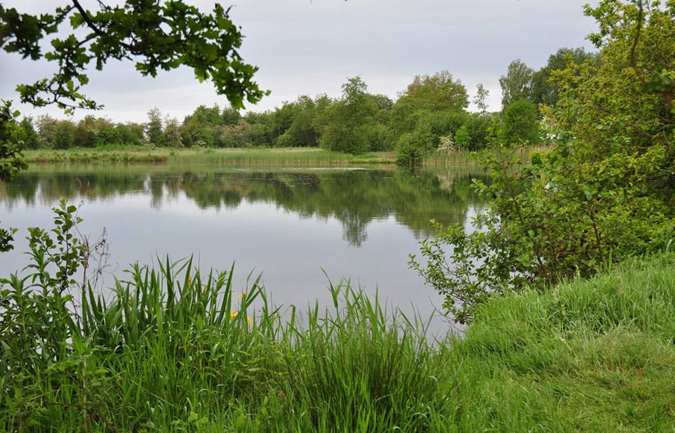 Wat hebben we toch veel schitterend viswater in ons land!