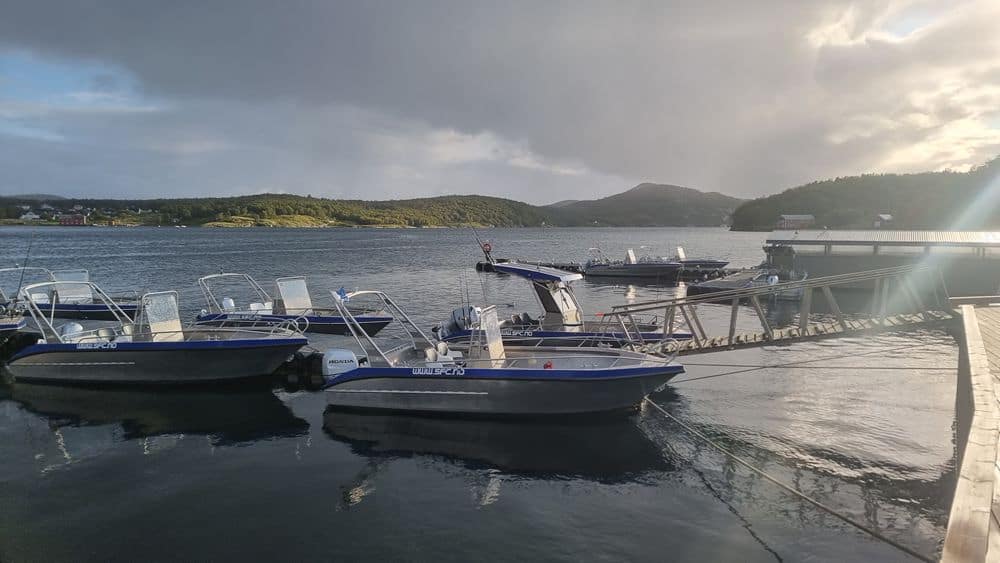 Om 08:00 uur doken we de boten in en gingen met volle vaart naar onze gekozen visstek.