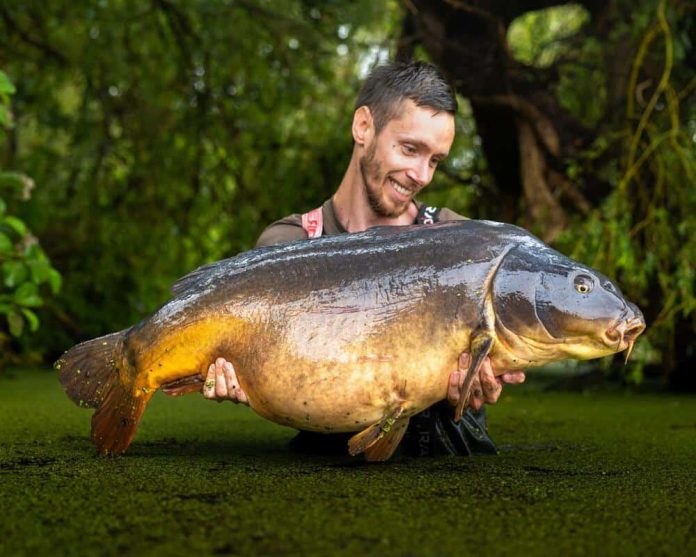 Wie kunnen we beter vragen om TOP TIPS voor de uitdagende karpervisserij op De Karperhoeve - Timmy's Lake (https://www.thecarpspecialist.nl/betaalwater/de-karperhoeve-timmys-lake) dan de twee beheerders van het domein: Nico & Glenn?