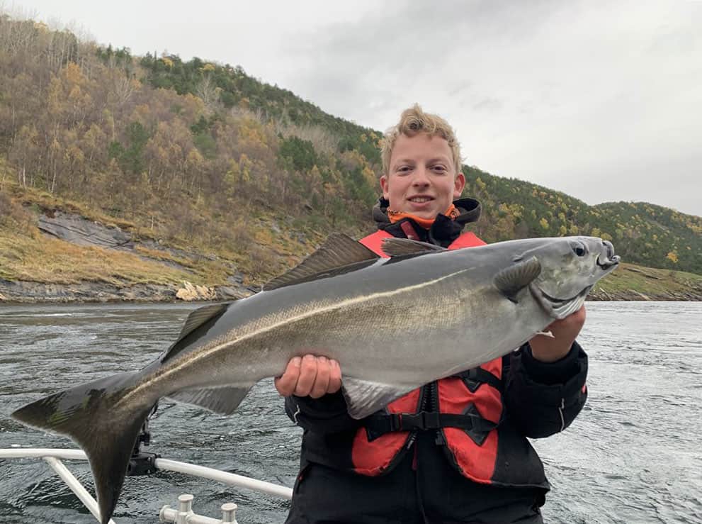 De helft van de boten ging achterin het fjord vissen.