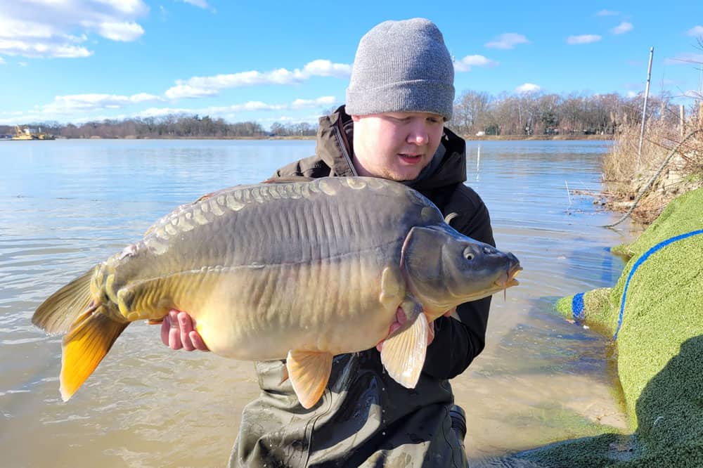 Spiegelkarper, uitgezet bij Fishing Adventure op 26 februari 2023 op een gewicht van twaalf kilogram.