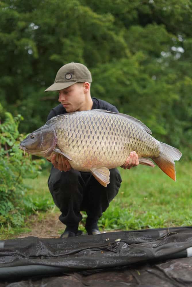 Dezelfde schubkarper terug gevangen op 28 juli 2023 op een gewicht van 14,4 kg.