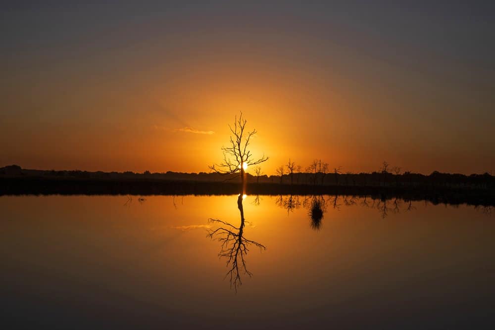 Een magische wereld, die zeker bij zonsondergang weet te betoveren.