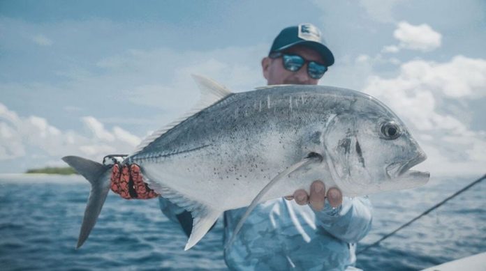 Er zijn in Indonesië niet een, niet twee, niet drie maar zelfs vier afgelegen locaties waar Visreis.nl een ongeëvenaarde live aboard viservaring kan bieden.