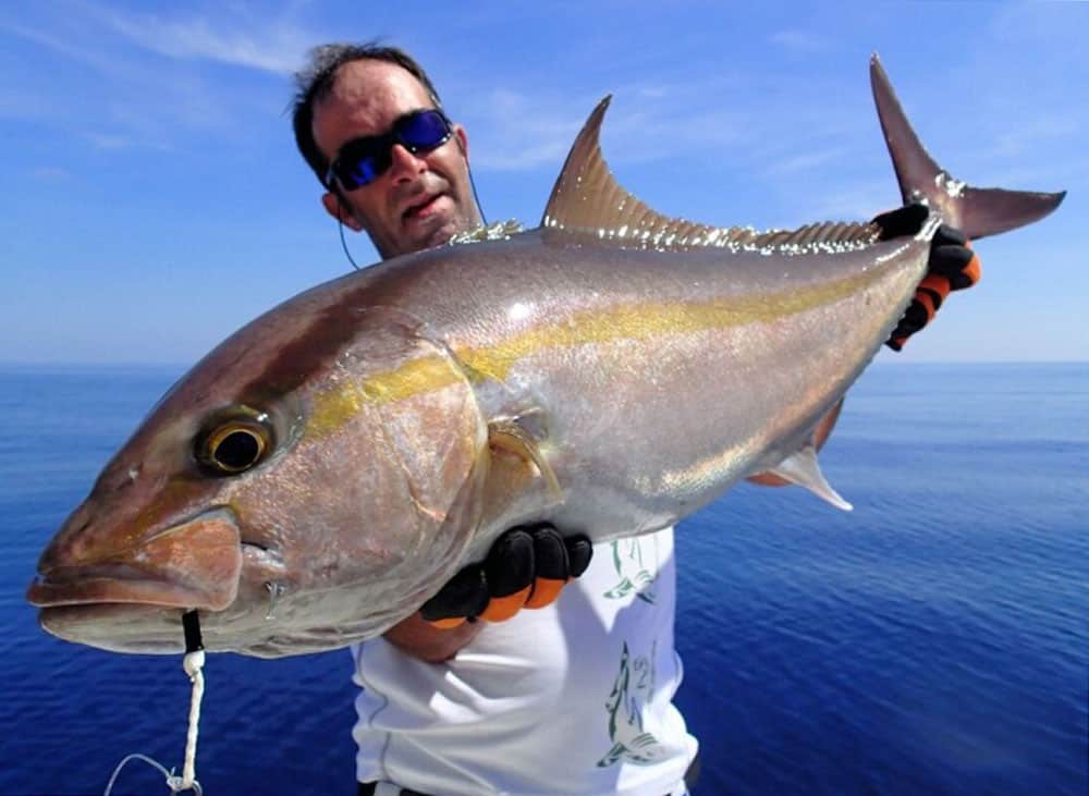 In beide programma's krijg je de kans om de mythische Ignobilis trevally of "GT", hondstandtonijn, amberjack, barracuda, kingfish, tandbaarzen (waaronder zeer grote exemplaren) en snappers te vangen.