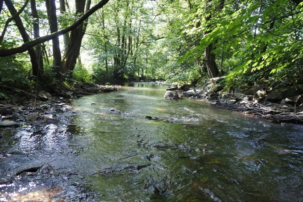 Vliegvistrajecten Sauerland