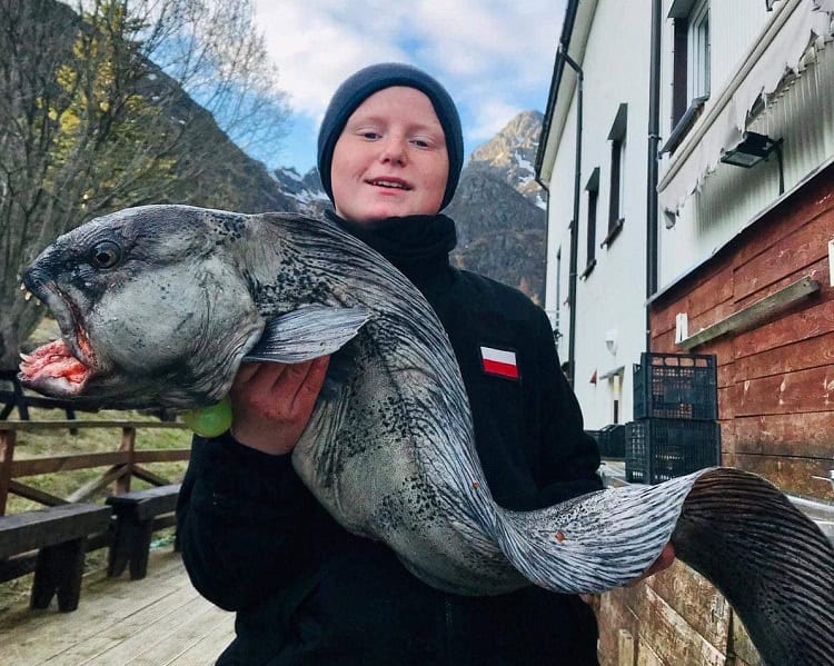 visvakantie lofoten noorwegen